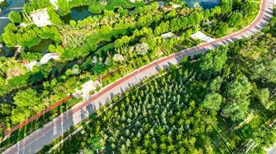 最新生态环境执法，绿意盎然中的日常守护