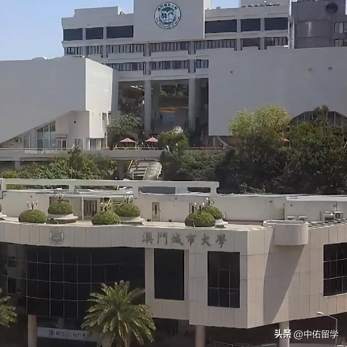 2024新澳门六长期免费公开,数据引导设计方法_LQW34.353荣耀版