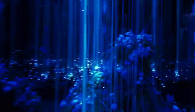 光遇滴CP女最新梦幻邂逅，寻找你的星辰大海💖