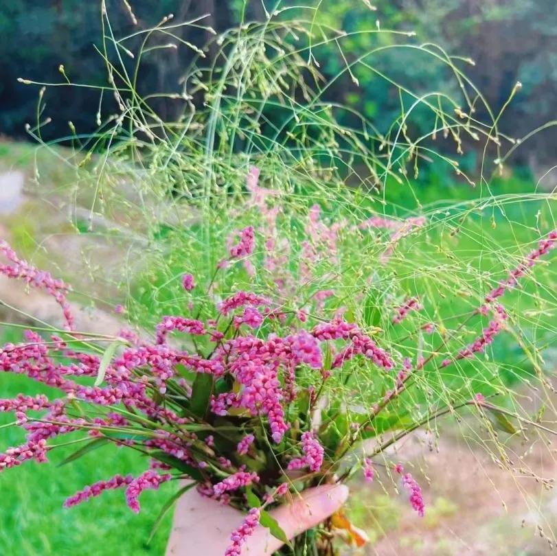 友刷下载最新版，体验友情的魔力与日常小确幸