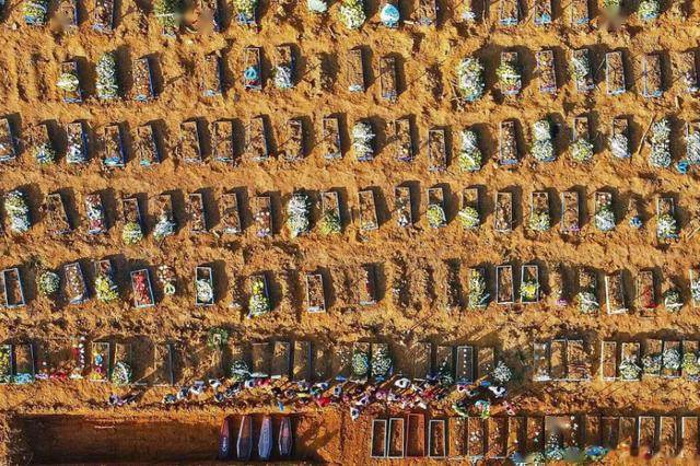 巴西最新新冠肺炎动态与小巷中的隐秘宝藏