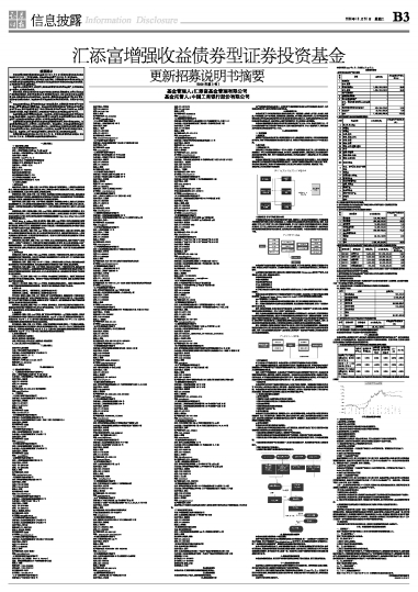 汇添富责任最新净值深度解析,了解净值变化与投资策略