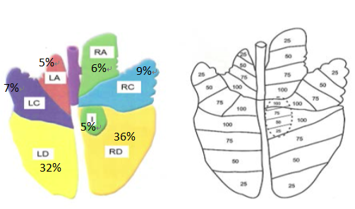 澳门六叔公论坛资料46,科学分析严谨解释_DMN34.591活力版