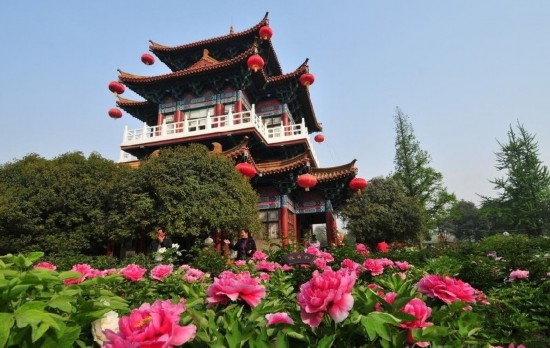 洛阳最新市区图,自然美景探索之旅启程