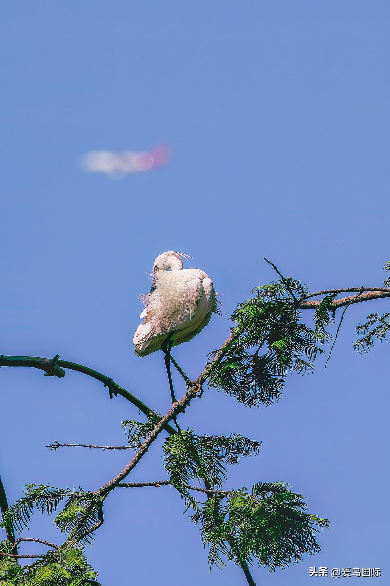 f2最新网站,F2最新网站——家庭温馨日常故事