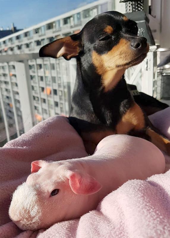 最新版的温馨日常风采展现