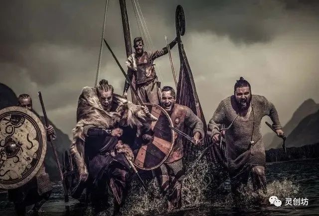 维京最新动态,深度解读与观点阐述