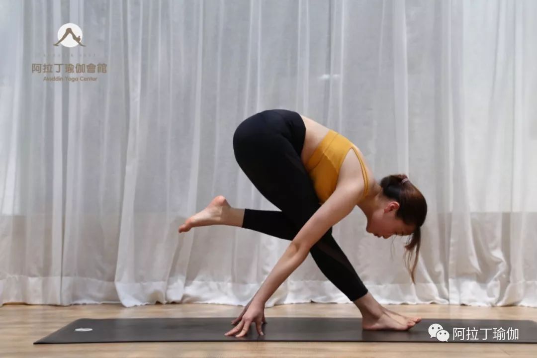 探索现代瑜伽多样性与创新力的最新体式大放异彩