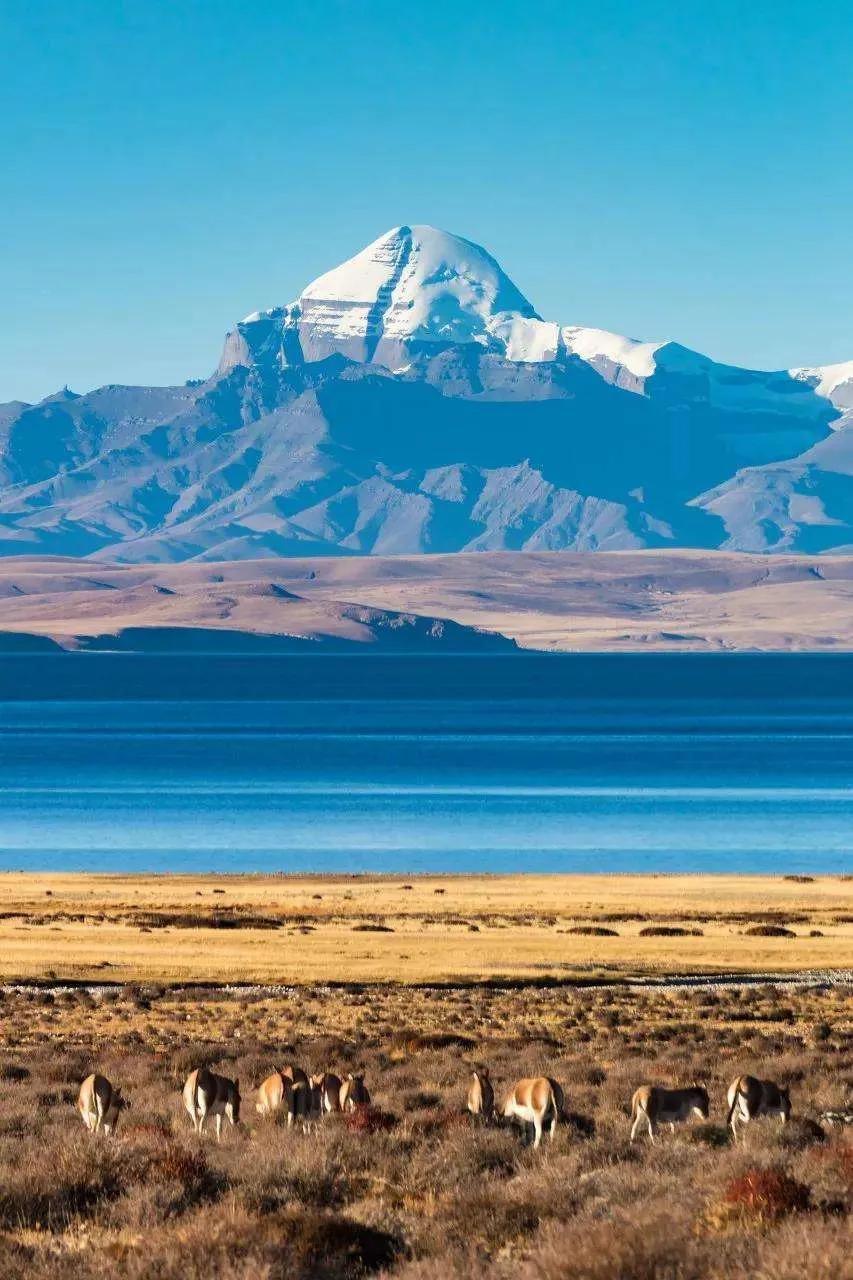 日本自然美景的心灵之旅探索最新目的地