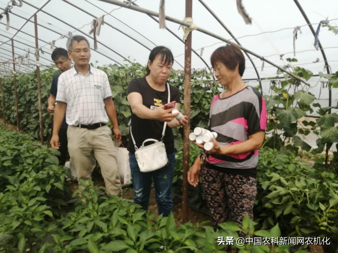 郸城县最新新闻速递，独家资讯分享