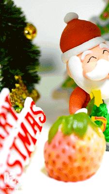 开车宝盒最新版，小巷隐藏宝藏的奇妙探索之旅