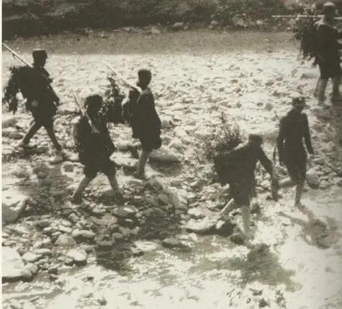 最新抢粮动态,自然美景探险之旅,探寻内心宁静的启程