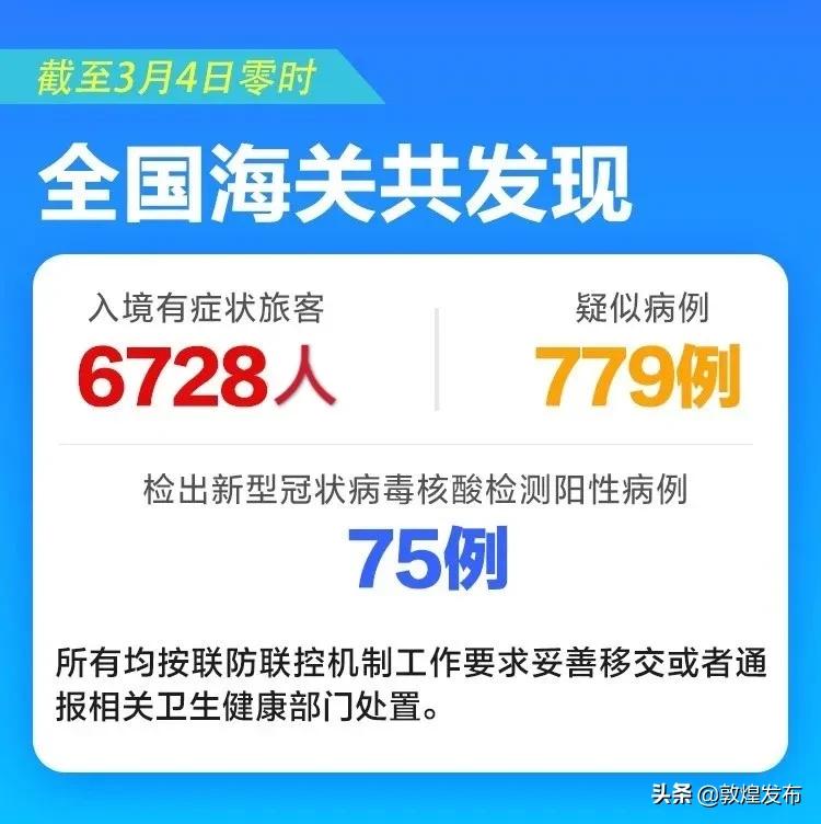 海关最新消息详解，应对策略与应对步骤指南