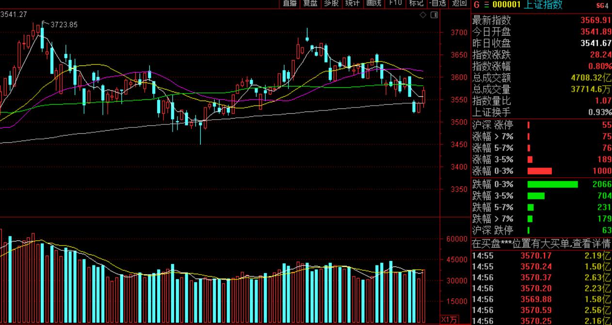 创业板最新上市信息,变化中的机遇,塑造未来舞台成就梦想家!