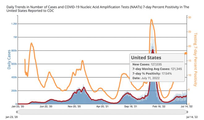 全国疫情最新动态，变化中的学习，信心与成就的力量