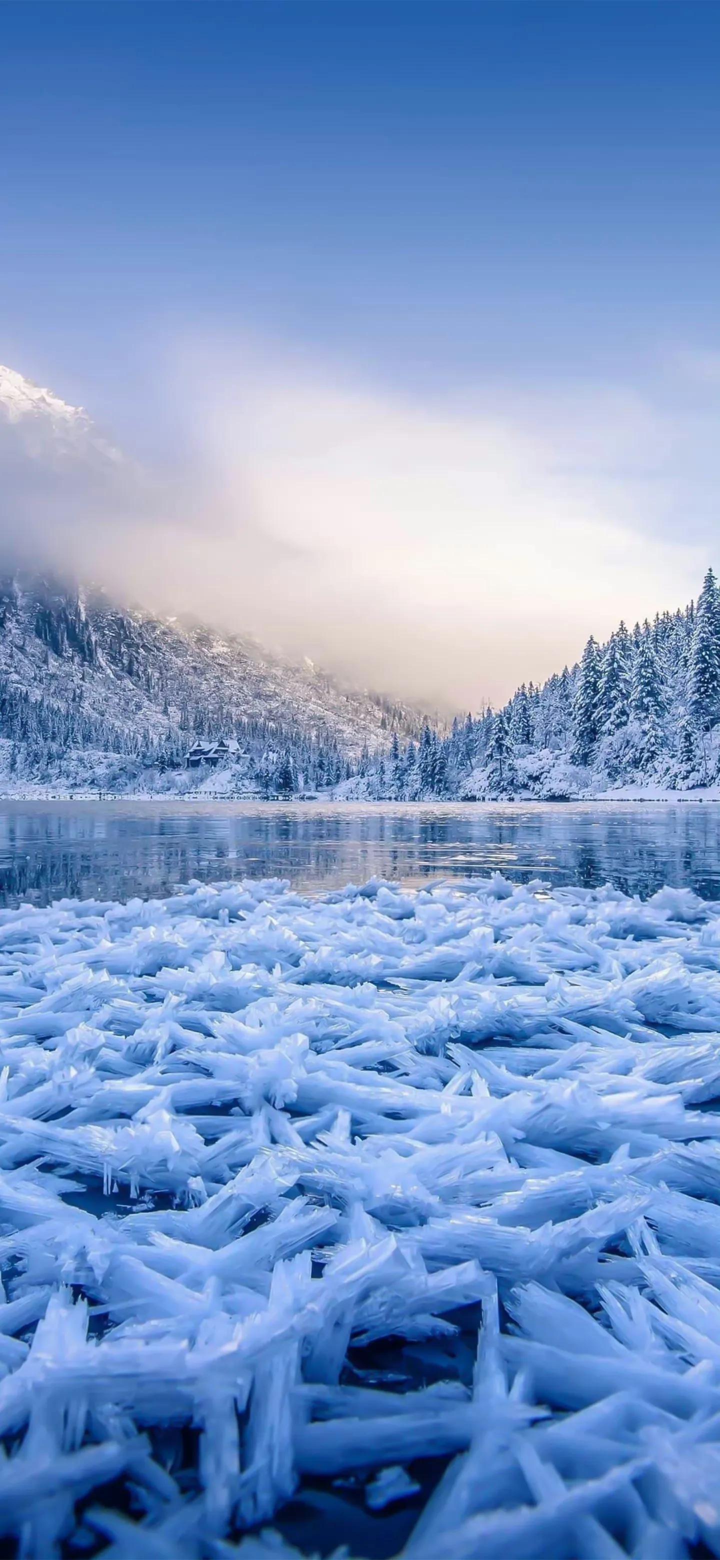 深交所监管动态下的心灵探索与艺术之旅,自然美景与内心平静的追寻