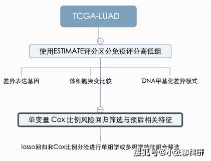 新奥门正版资料大全资,定量解析解释法_PCT55.368先锋科技
