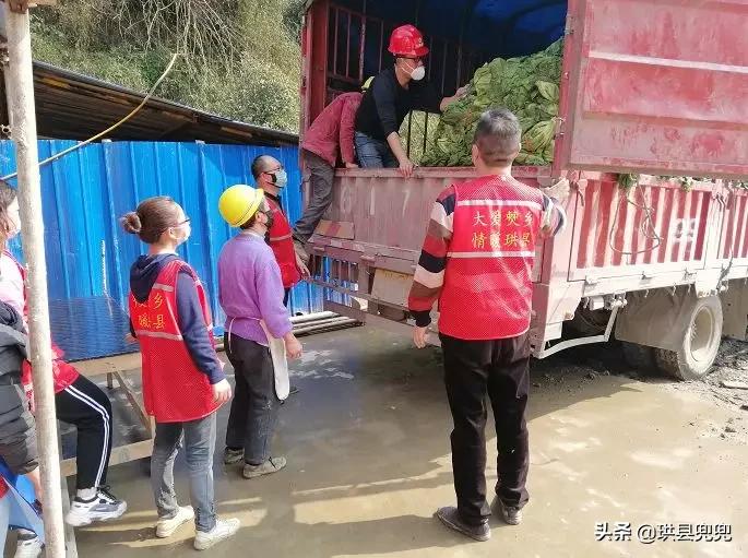 新冠最新新增病例与小巷深处的独特邂逅