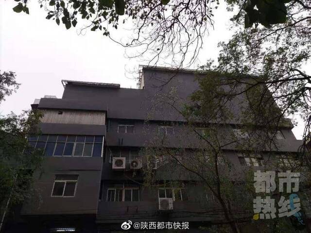 西安碑林区最新事件概述，最新动态与进展