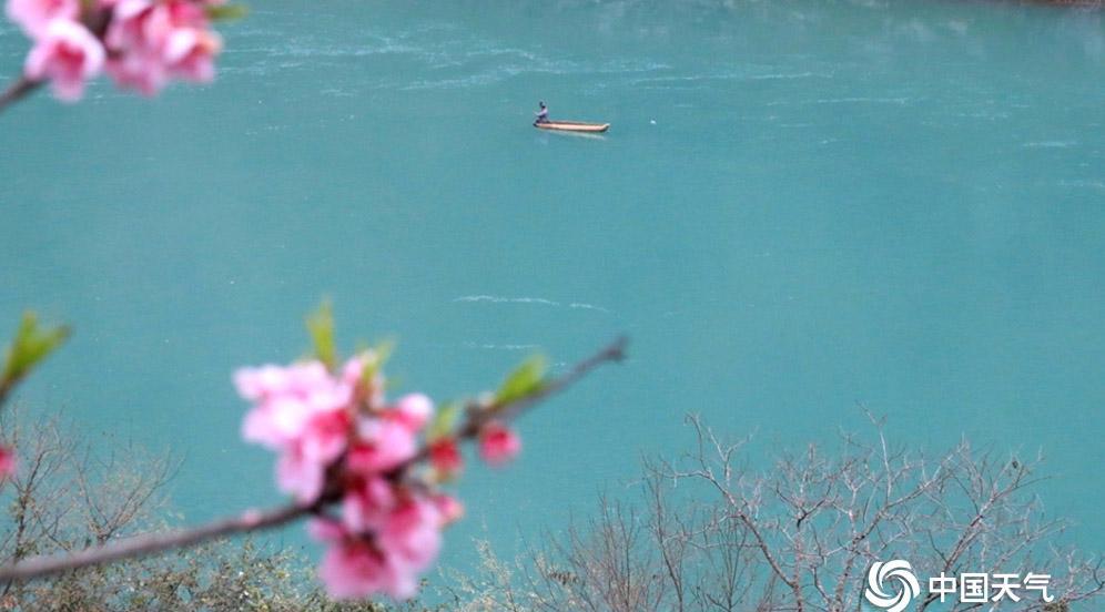 桃花汛最新章节更新，精彩内容抢先看！