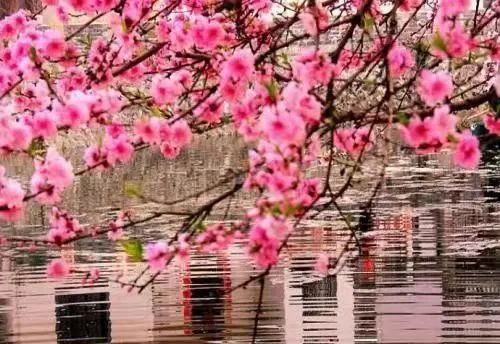 桃花汛最新章节更新,精彩内容抢先看!