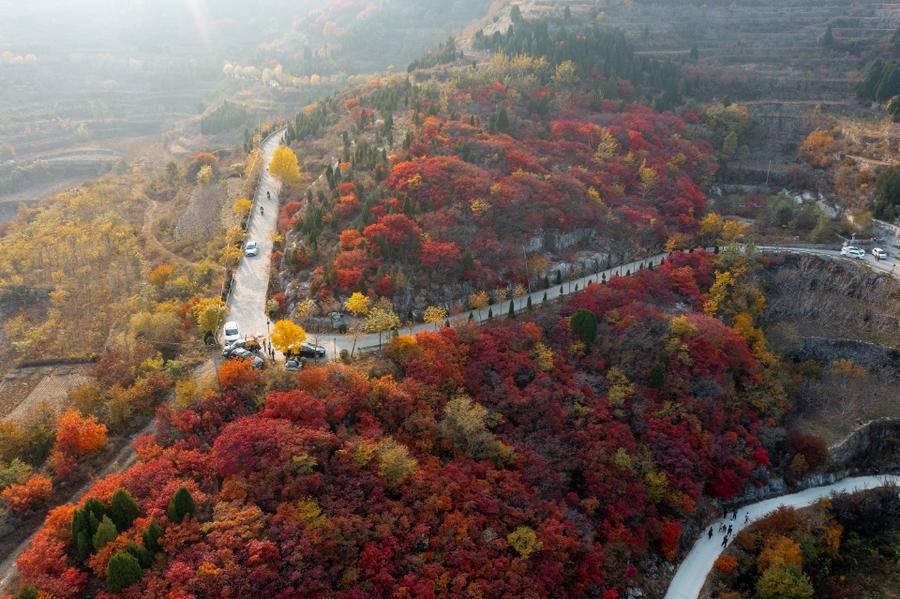 最新电影资源探寻秘籍，小巷深处的宝藏小店揭秘