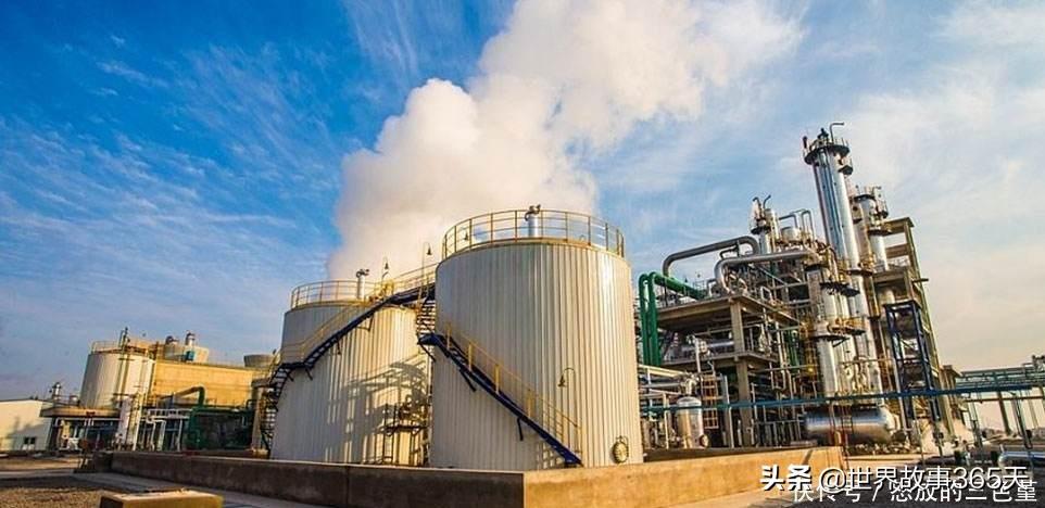 新澳门原料免费提供大全,持续改进策略_NZU55.290动感版