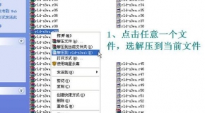澳门彩天天正政板免费资料54期,实证分析详细枕_DCN55.483轻量版
