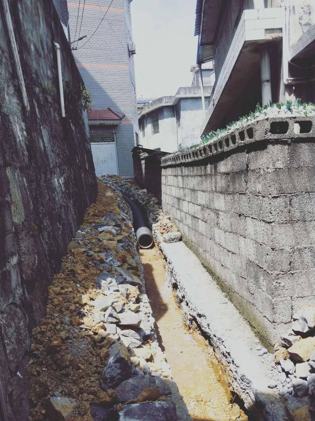 西水股份,小巷中的隐藏宝藏,独特环境引探索热潮,最新动态揭秘