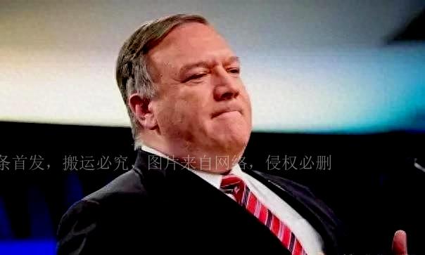 美国大选最新动态,变化、学习与自信的力量