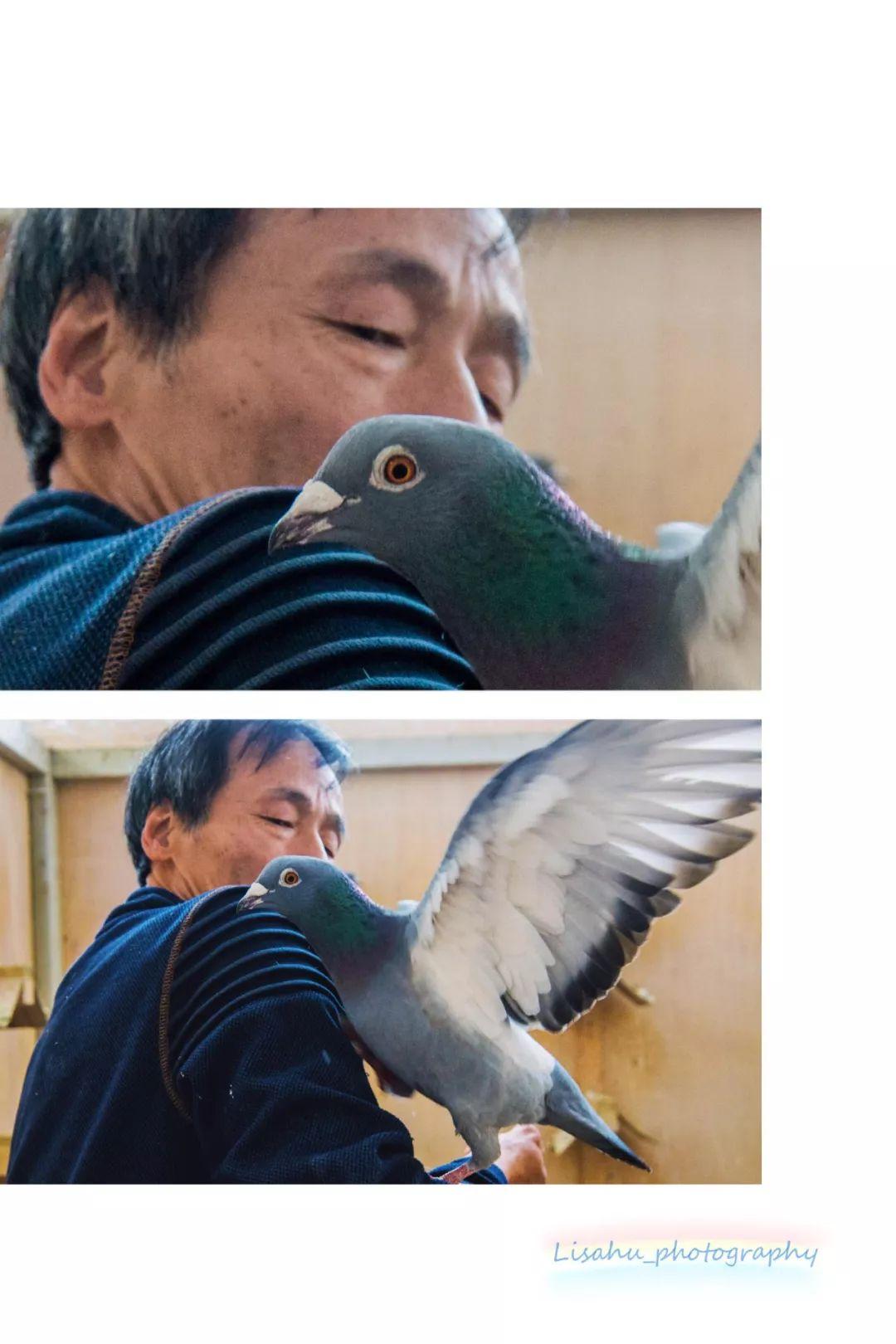 中小学暑假最新通知，放飞梦想，暑假展翅翱翔时光