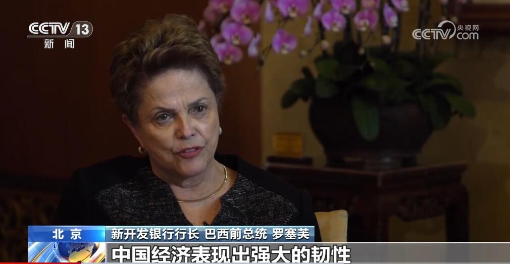 国内经济最新动态概览