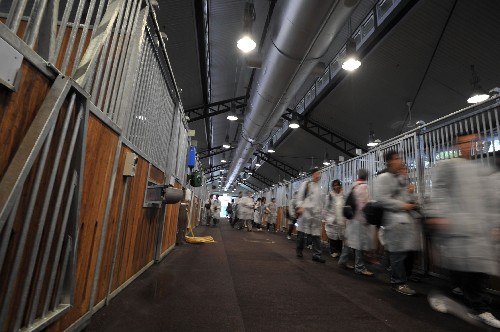 澳门管家婆一马一肖中特T,安全保障措施_VPI55.500专属版