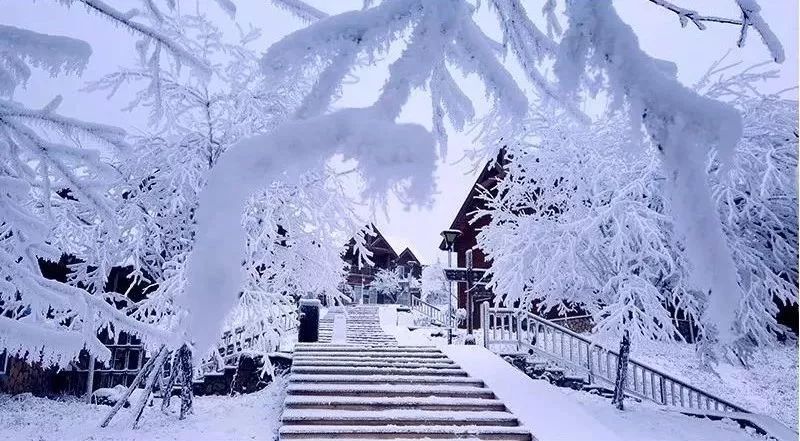 广东周边最新看雪攻略，巷弄深处的惊喜邂逅