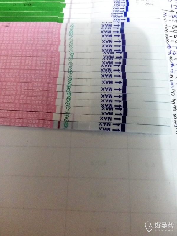 新澳门出今晚最准确一肖,高效计划实施_KKW55.988工具版