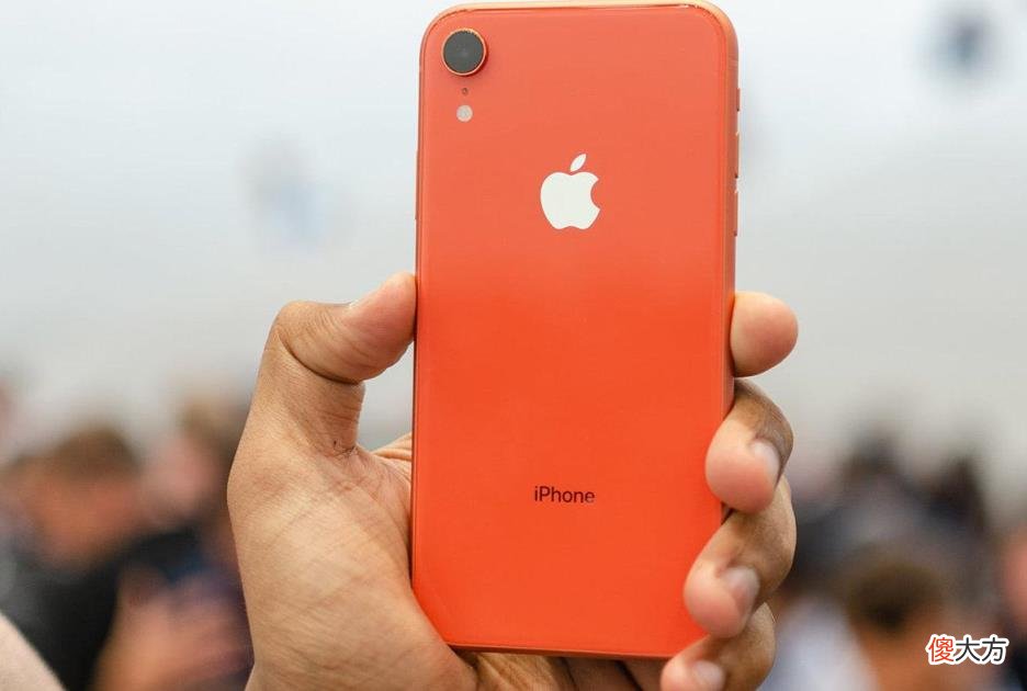 苹果XR最新消息与日常温馨故事更新