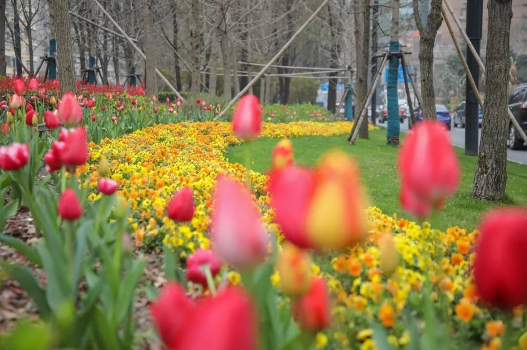 二四六澳门开奖结果,精细化方案决策_QMH55.721生活版