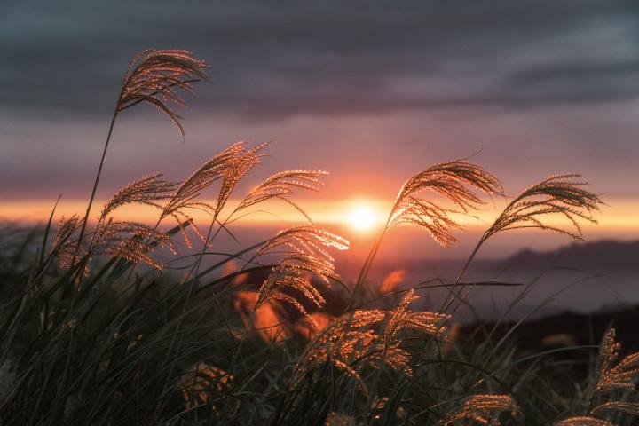 最新朋友圈美图，魅力瞬间与摄影技巧分享