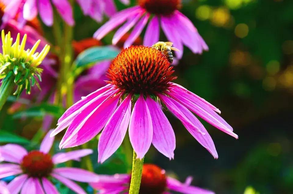 国家发改委最新通知引领自然美景探索之旅,寻求内心平和宁静的旅程启动