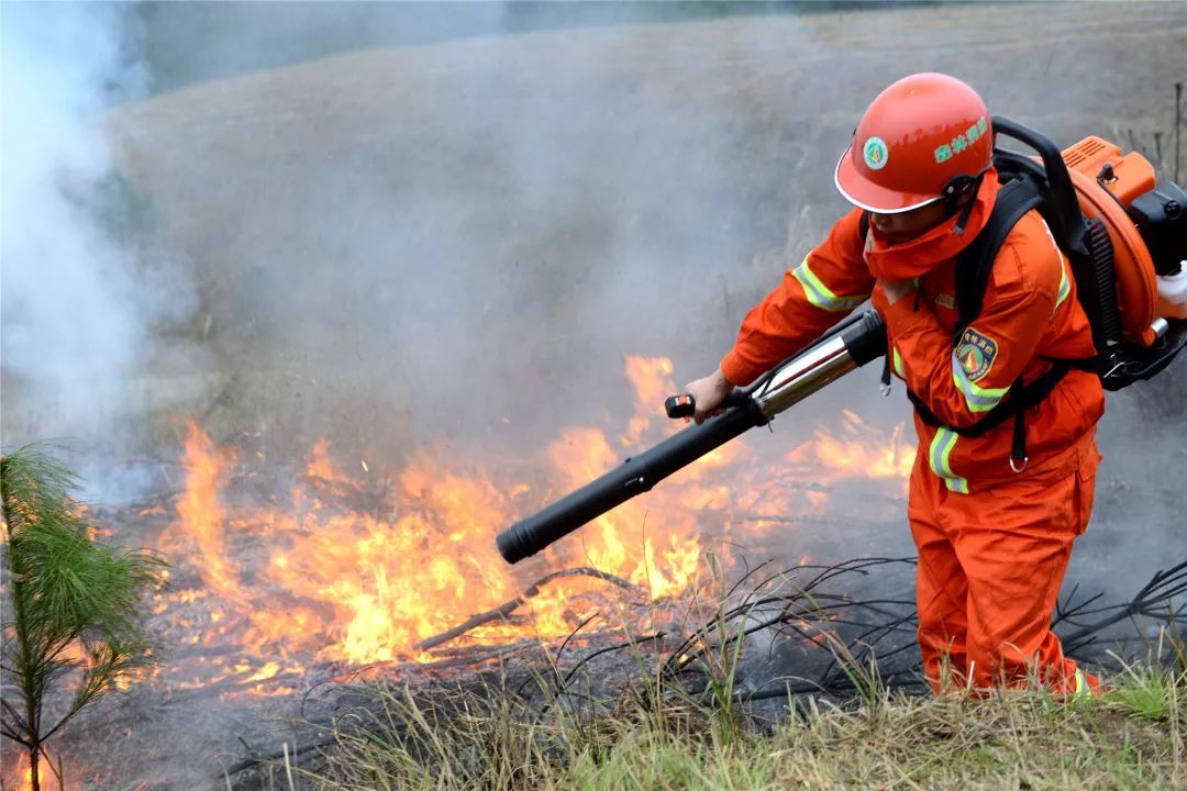 四川通江火灾最新情况概述
