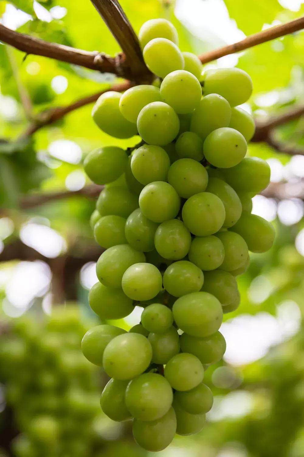 联想小新Air最新版,巷弄中的隐藏科技瑰宝