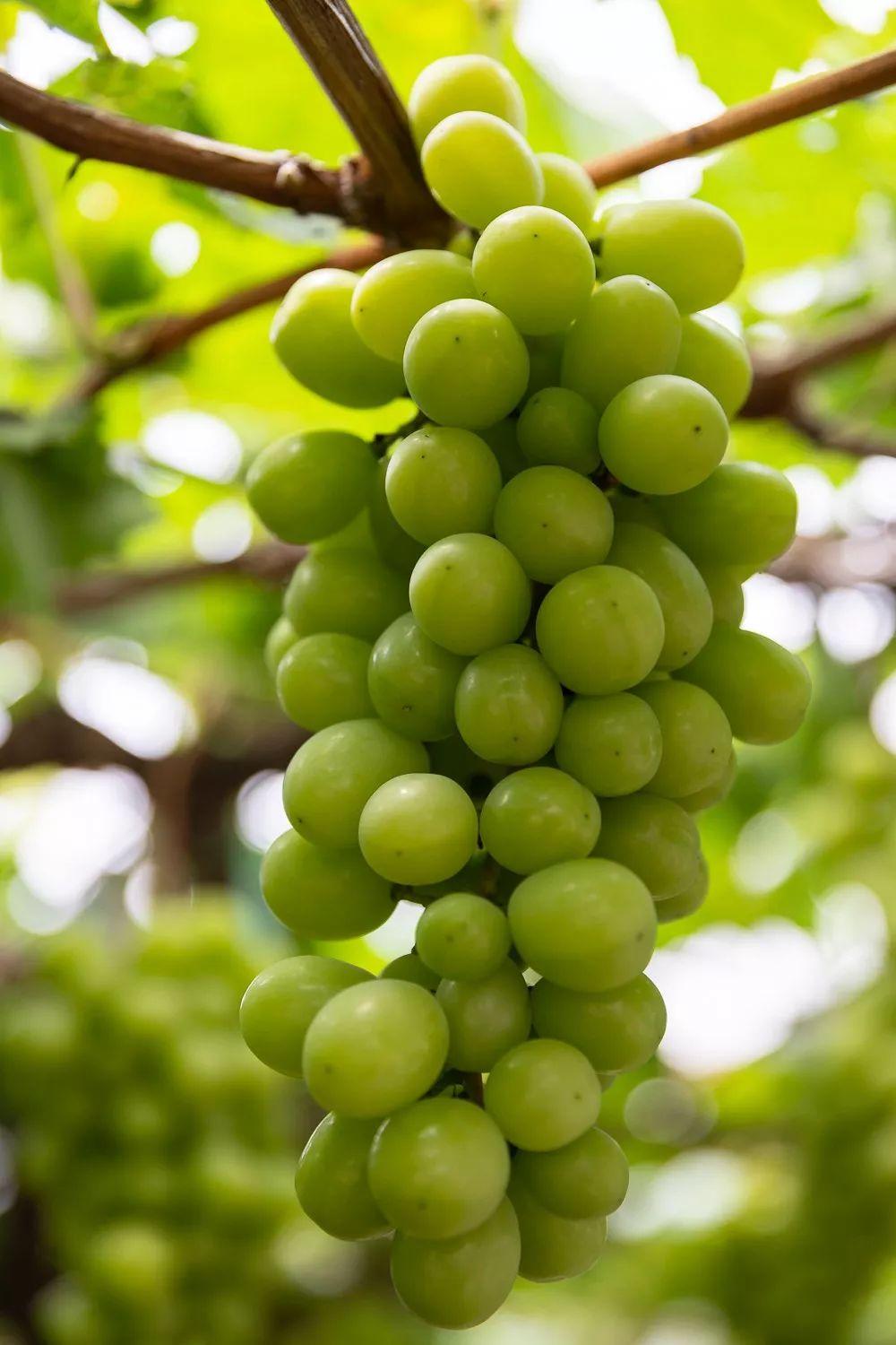 联想小新Air最新版,巷弄中的隐藏科技瑰宝