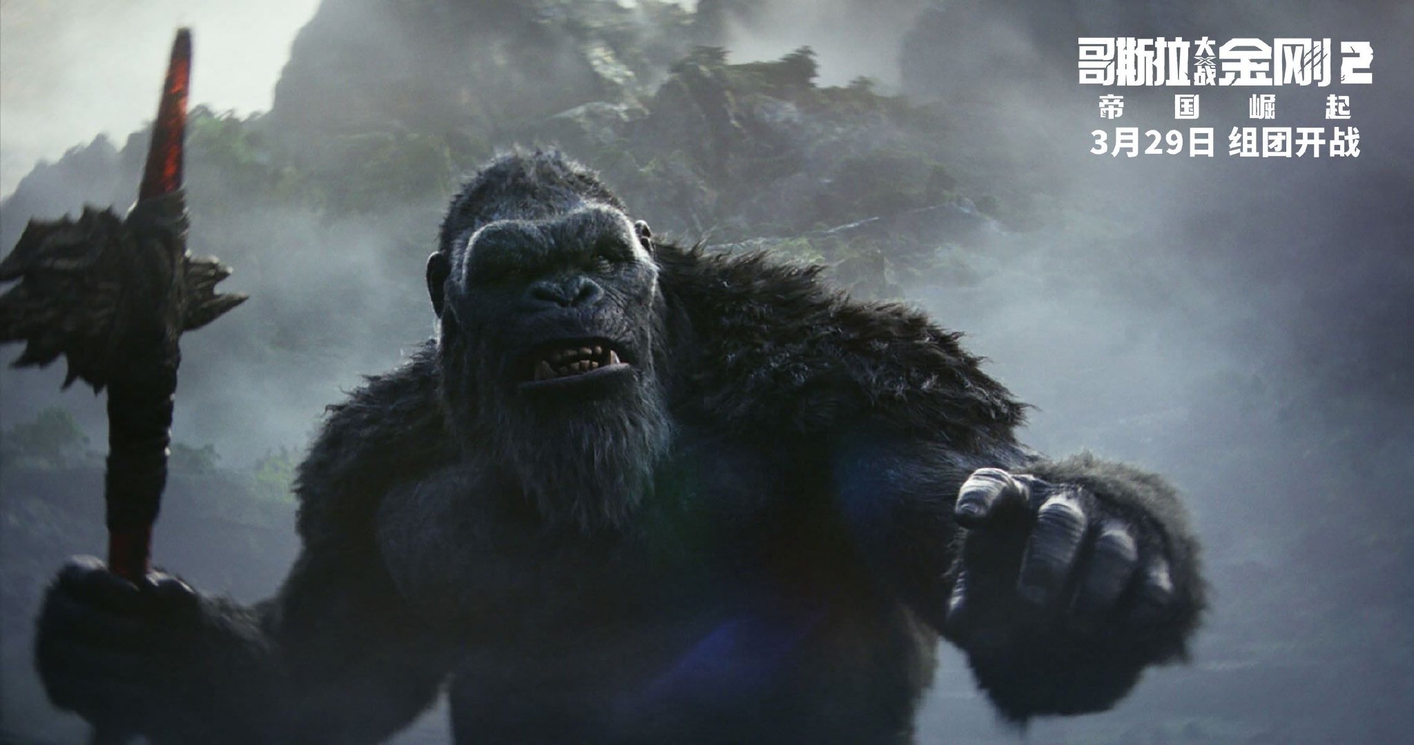 金刚最新版本深度解析与探讨指南