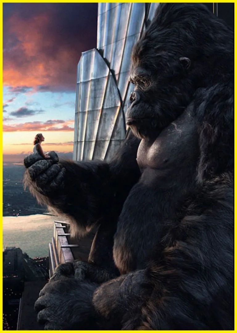 金刚最新版本深度解析与探讨指南