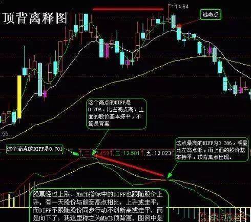 全信股价最新动态,深度分析与解读