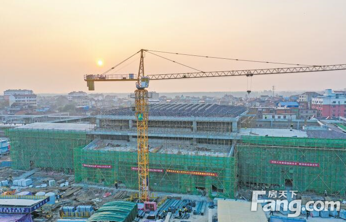 花园站最新动态更新 🌸🌼消息速递