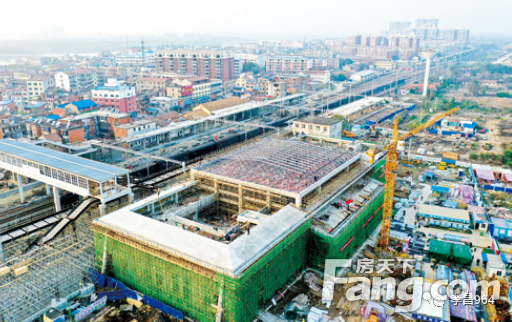 花园站最新动态更新 🌸🌼消息速递