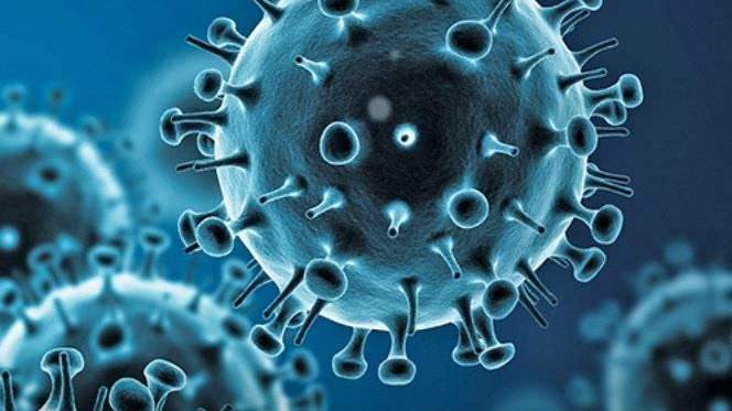 新冠肺炎疫情最新案例,新冠肺炎疫情最新案例