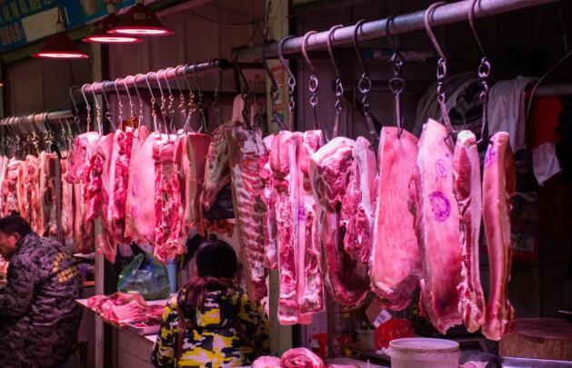 陕西最新猪价预测与小巷深处的特色美食探秘