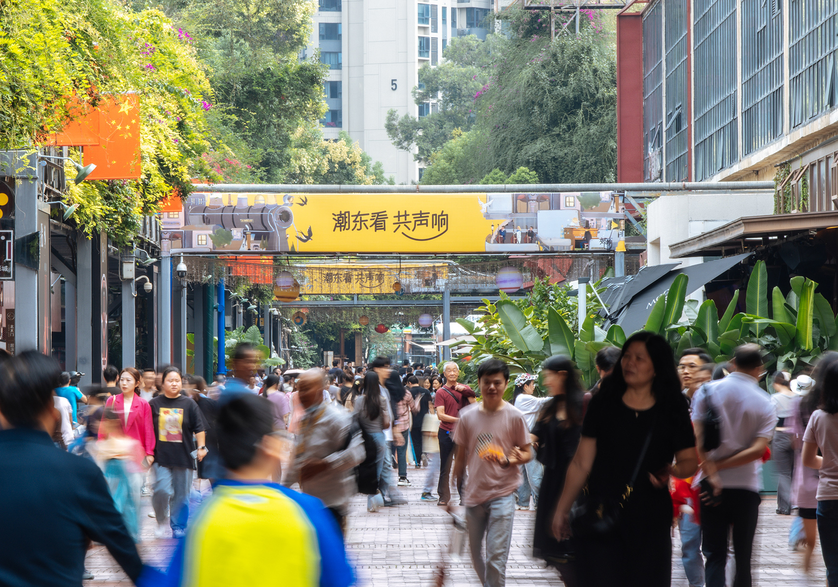 洛阳钼业最新动态与探秘,小巷中的独特小店